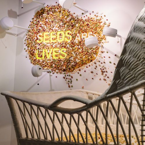 GINZA SIX 2024 Spring「SEEDS ARE LIVES」